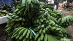 Permintaan Pisang Meningkat Selama Ramadhan