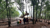 Tiket masuk ke Pinus Pengger sangat murah, cuma Rp 3 ribu per orang, sudah termasuk biaya asuransi. Sedangkan untuk biaya parkir motor Rp 2 ribu, mobil Rp 5 ribu, mobil travel Rp 15 ribu dan untuk bus besar Rp 20 ribu. (Pradito/detikcom)