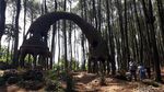 Foto: Hutan Pinus Pengger yang Instagramable di Bantul