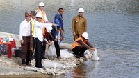 Presiden Jokowi bersama Menteri PUPR Basuki Hadimuljono, Mensesneg Pratikno, Gubernur NTT Viktor Laiskodat dan Bupati Belu Willy Lay sempat menabur benih ikan disela peresmian Bendungan Rotiklot di Belu, Atambua, NTT, Senin (20/5/2019).
