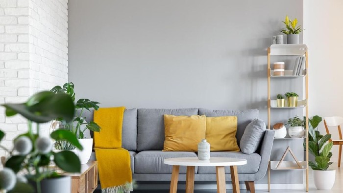 Books, succulents and orchid on living room coffee table