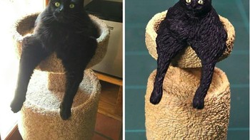 Tulang kucing memang seperti lentur. (Foto: Twitter/Meetisaai)