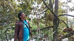 Foto: Mudik Lewat Jalur Garut, Ini Tempat-tempat Wisatanya