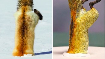 Upss! si tupai nyungsep ke dalem timbunan salju. (Foto: Twitter/Meetisaai)