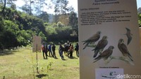Para pemudik yang melintas Jalur Ibun-Kamojang dan hendak menuju Garut dari Kabupaten Bandung bisa singgah dulu di jembatan kuning Kamojang Hill Bridge. Lokasi ini memang bukan tempat wisata, namun para pemudik bisa berfoto dan bersantai di situ karena lokasinya yang indah. Selain itu, para pemudik bisa singgah di kawasan Pusat Konservasi Elang Kamojang (PKEK) (Hakim/detikcom)