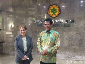 RI Buka Peluang Impor Daging Sapi Brasil
