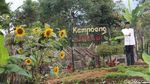 Foto: Mudik Lewat Jalur Garut, Ini Tempat-tempat Wisatanya