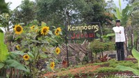 Di Jalur Salawu-Cilawu, traveler bisa singgah di kawasan wisata alam Dayeuhmanggung. Di tempat ini, pemudik bisa santai di kebun teh sambil berfoto karena tempatnya yang indah. Ada tiga tempat hits yang bisa dikunjungi di wilayah ini. Yakni Kampoeng Amsterdam, Kampoeng Jokowi dan Kampoeng My Darling (Hakim/detikcom)