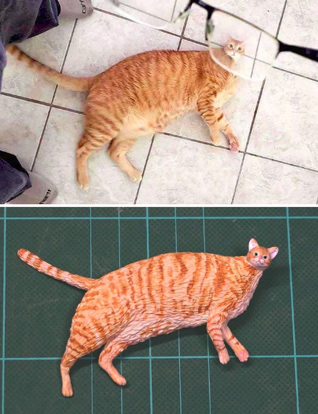 9200 Koleksi Gambar Kepala Hewan Png Gratis