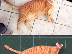 Gemas! Ketika Meme Hewan Dijadikan Karya Patung 3D