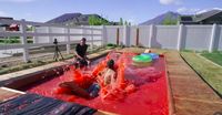 Mantan Teknisi NASA Ini Sukses Bikin Kolam Renang Jelly