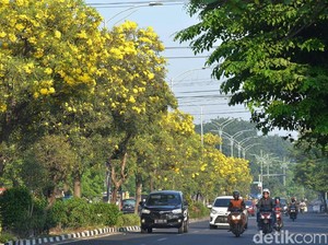 Rekomendasi Tempat Wisata Bagi Traveler yang Mudik ke Surabaya