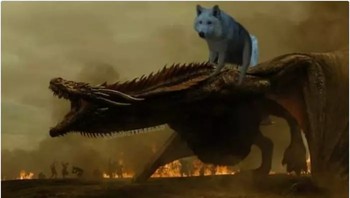 Setuju kalau Drogon dan Ghost disebut sebagai karakter terbaik episode terakhir? (Foto: Boredpanda.com)