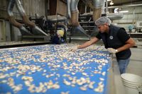 Petani Bawang Putih AS Raup Untung dari Perang Dagang