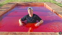 Mantan Teknisi NASA Ini Sukses Bikin Kolam Renang Jelly