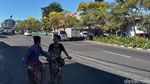 Bunga Tabebuya Bikin Kota Surabaya Lebih Berwarna
