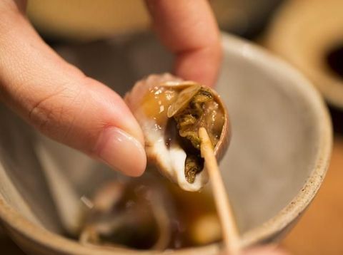 Keracunan siput laut