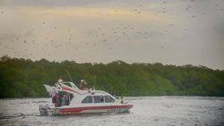 Fenomena Ribuan Kalong Menutupi Langit Fenomena Ribuan Kalong Menutupi Langit