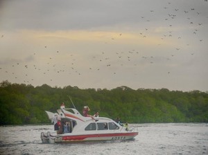 Menelusuri Pulau Kalong Labuan Bajo, Rumah Bagi Kawanan Kelelawar Raksasa