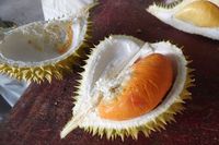 Cicipi Musang King, D24 hingga Black Thorn di Festival Durian Terbesar Malaysia