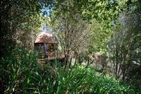 Penginapan Paling Banyak Dikunjungi di Dunia, Ada di Tengah Hutan