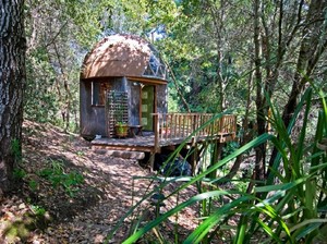 Penginapan Paling Banyak Dikunjungi di Dunia, Ada di Tengah Hutan