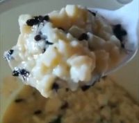 Puding Topping Semut Sedang Digandrungi di China