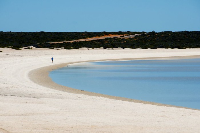 Shell Beach di Denham