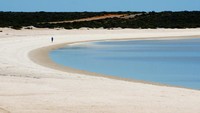 Shell Beach adalah pantai unik di Shark Bay Road, Denham, Western Australia. 