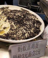 Puding Topping Semut Sedang Digandrungi di China