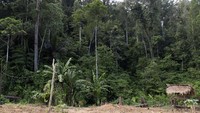 Pedalaman suku polahi tinggal di kedalaman perbukitan dan hutan di Kecamatan Boliyohuto, Kabupaten Gorontalo.