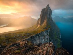 Karya Jawara BigPicture: Natural World Photography Bikin Takjub