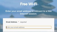 Traveler hanya perlu memasukkan alamat email untuk dapat menggunakan koneksi internet di dalam pesawat (Shinta/detikcom)