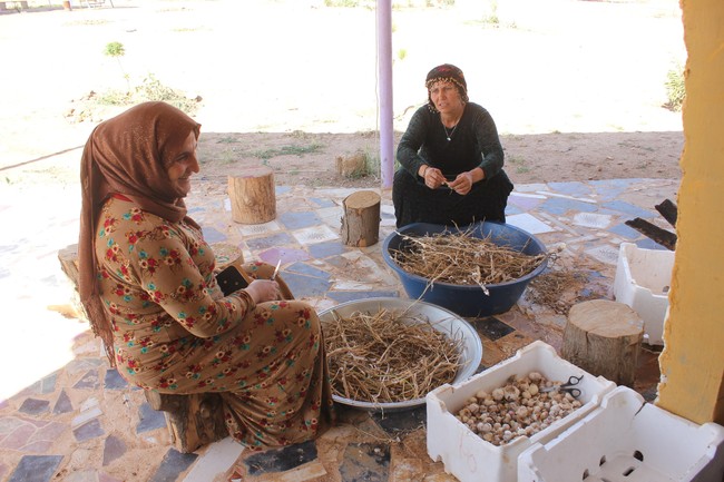 Menemukan lingkungan yang harmonis dan bisa berkontribusi terhadap orang-orang sekitar, beberapa wanita mengaku tidak berkeinginan untuk menikah lagi.  Aku tidak akan menikah lagi karena aku punya banyak anak dan tidak ada yang mau menikahiku. Ini pertama kalinya aku merasa bebas, tidak ada yang memintaku memakai sesuatu atau melakukan sesuatu, tambah Nurjin. Foto: Dok. www.jinwar.org.