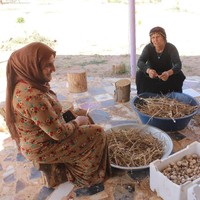 Menemukan lingkungan yang harmonis dan bisa berkontribusi terhadap orang-orang sekitar, beberapa wanita mengaku tidak berkeinginan untuk menikah lagi.  Aku tidak akan menikah lagi karena aku punya banyak anak dan tidak ada yang mau menikahiku. Ini pertama kalinya aku merasa bebas, tidak ada yang memintaku memakai sesuatu atau melakukan sesuatu, tambah Nurjin. Foto: Dok. www.jinwar.org.