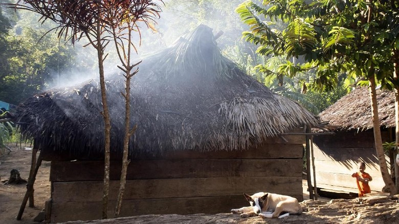 HAK SUARA SUKU PEDALAMAN POLAHI Perempuan warga suku Polahi berada di gubuk tempat mengamati lahan perkebunan mereka di tengah perbukitan dan hutan di Boliyohuto, Kabupaten Gorontalo, Provinsi Gorontalo.