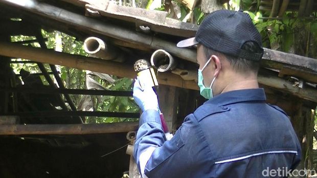 Terkait Antraks, Peredaran Hewan Ternak di Gunungkidul Dibatasi