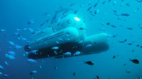 ScUber akan diluncurkan pada tanggal 27 Mei nanti di Great Barrier Reer. Dan untuk sementara kapal selam ini hanya tersedia untuk berangkat dari Pulau Heron, lepas pantai di Gladstone di Wilayah Southern Great Barrier Reer. (dok ScUber Queensland)