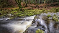 Dalam episode satu musim pertama, di dekat Tollymore Forest Park (yang juga menjadi inspirasi bagi C.S. Lewis dalam film Narnia) adalah tempat para Stark menemukan direwolves. Tempat ajaib ini dipenuhi air terjun dan taman abad ke-18 (CNN) 