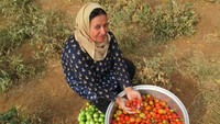 Para wanita yang tinggal di desa ini pun mengerjakan semua kegiatan mulai dari membersihkan rumah, memasak makanan, hingga bercocok tanam untuk menghidupi keluarga mereka secara mandiri tanpa bergantung pada lelaki. Bahkan, para wanita di Desa Jinwar juga memiliki senjata lengkap untuk berjaga-jaga dari ancaman luar yang dapat membahayakan hidup mereka. Dok. www.jinwar.org.