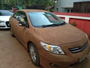Wanita Lapisi Mobilnya dengan Kotoran Sapi Biar Adem