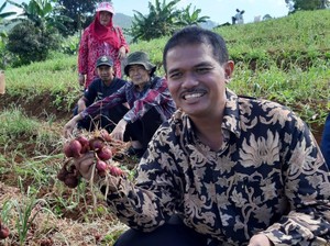 Kementan Genjot Sistem Tumpang Sari Bawang Merah dan Putih