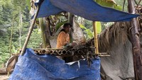 Suku Polahi masih hidup berpindah-pindah. Mereka hidup memanfaatkan sumber air. Mereka pun menggantungkan hidup dengan bercocok tanam dan tidak jarang para penambang emas di sekitar perbukitan itu juga menggunakan jasa mereka sebagai buruh angkut peralatan maupun keperluan tambang.