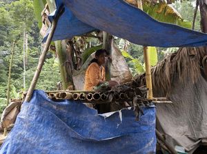 Sejarah Suku Polahi Lari Menolak Dijajah Belanda-Punya Tradisi Kawin Sedarah