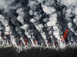 Karya Jawara BigPicture: Natural World Photography Bikin Takjub
