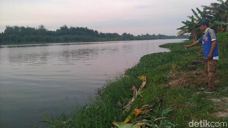 Mayat Pria Bertato Ditemukan di Pinggir Sungai Mojokerto Mayat Pria Bertato Ditemukan di Pinggir Sungai Mojokerto