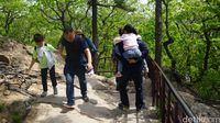 Trekking di Gwongeumseong (Afif Farhan/detikTravel)