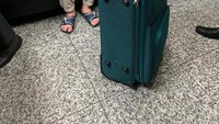 Foto: RT yang diduga menyelundupkan berang-berang dan kalajengking ini ke Rusia. Dok. Istimewa
