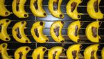 Mungilnya Banana Cookies yang Jadi Tren Kue Lebaran 2019