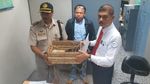 Potret Berang-berang dan Kalajengking yang Gagal Diselundupkan ke Rusia